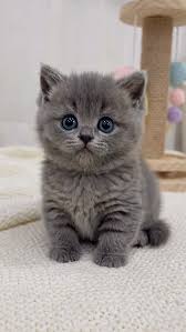 Bad example - with background