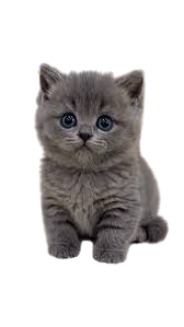 Good example - no background